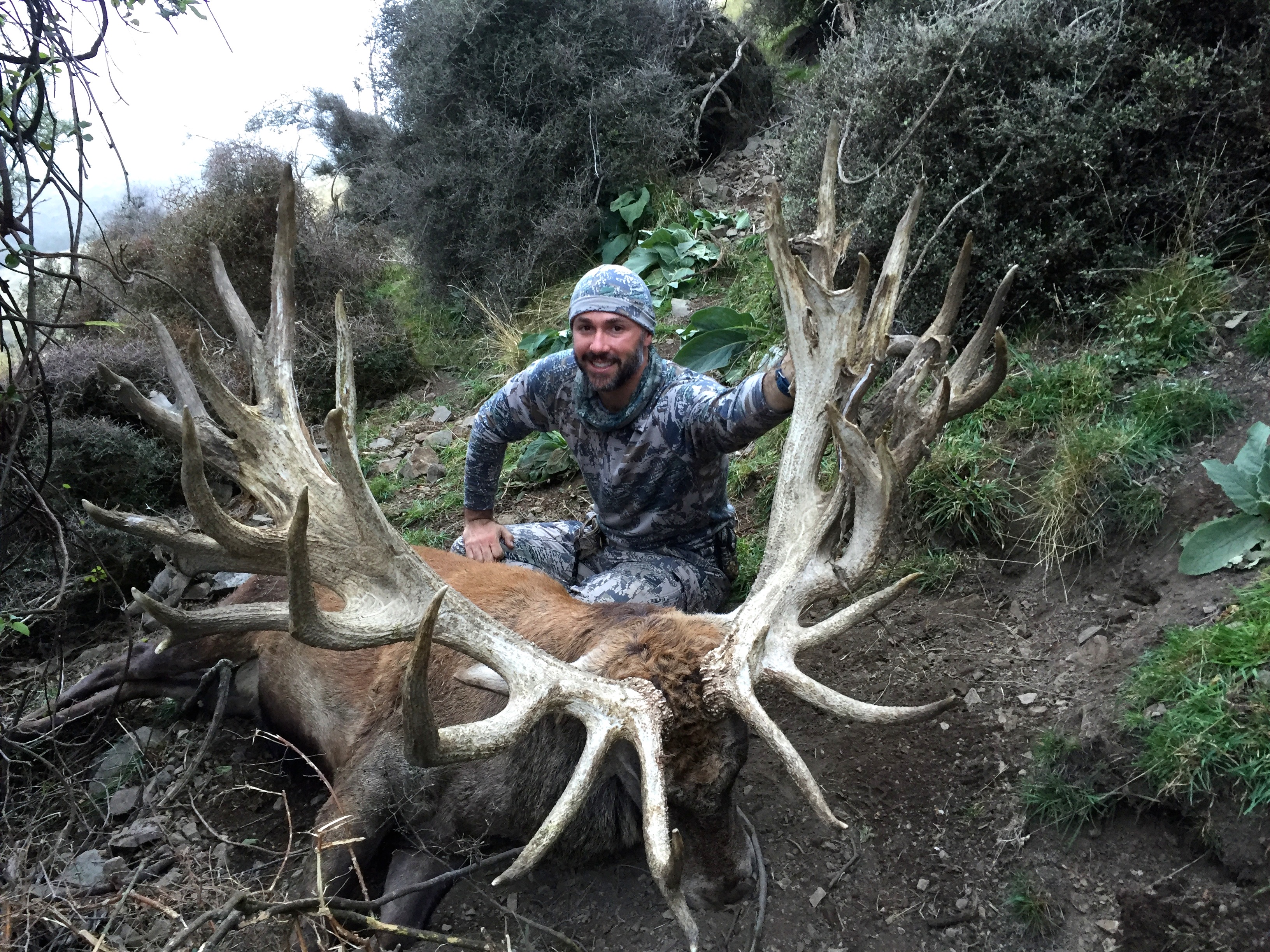 Red Stag Hunting - Deer Antlers - Red Deer Hunting ...