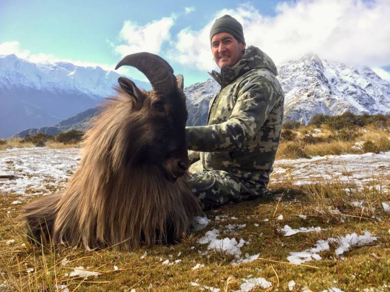 Hunt Himalayan Tahr Hunting Trophy Tahr in New Zealand Alpine Game