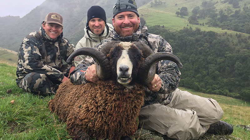 New Zealand Ram Hunting