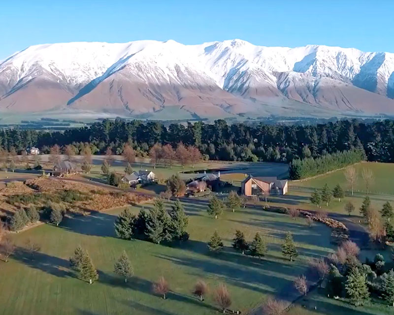 four seasons safari new zealand