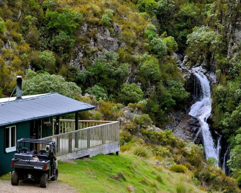 four seasons safari new zealand