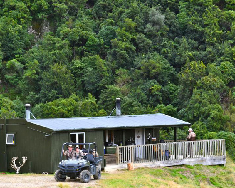 four seasons safari new zealand