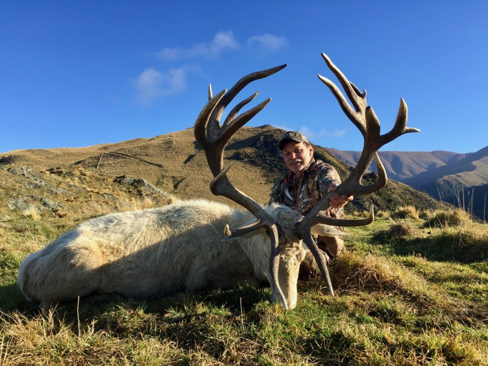 White Stag - Four Seasons Safaris New Zealand