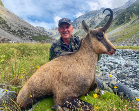 Windquist Chamois New Zealand 2020 : Four Seasons Safaris New Zealand