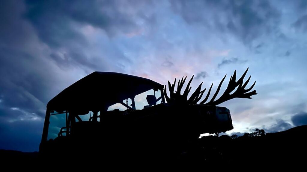 Trophy red stag antlers silhouetted on the hunt vehicle at dusk after a New Zealand red stag hunt
