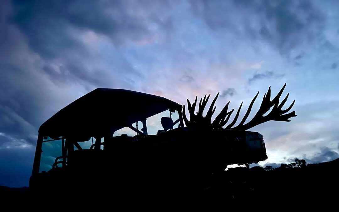 Trophy red stag antlers silhouetted on the hunt vehicle at dusk after a New Zealand red stag hunt